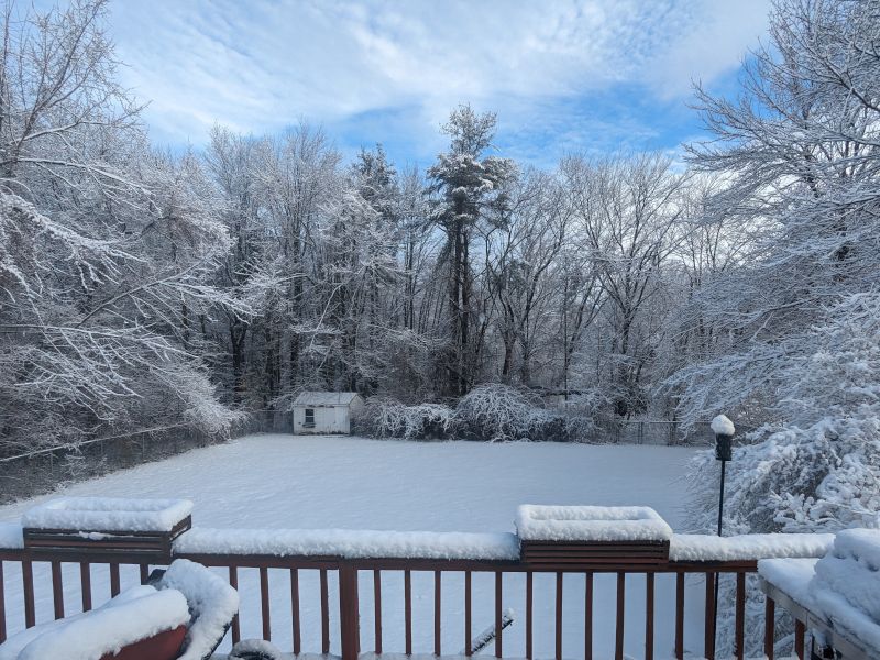 Our Backyard in the Winter